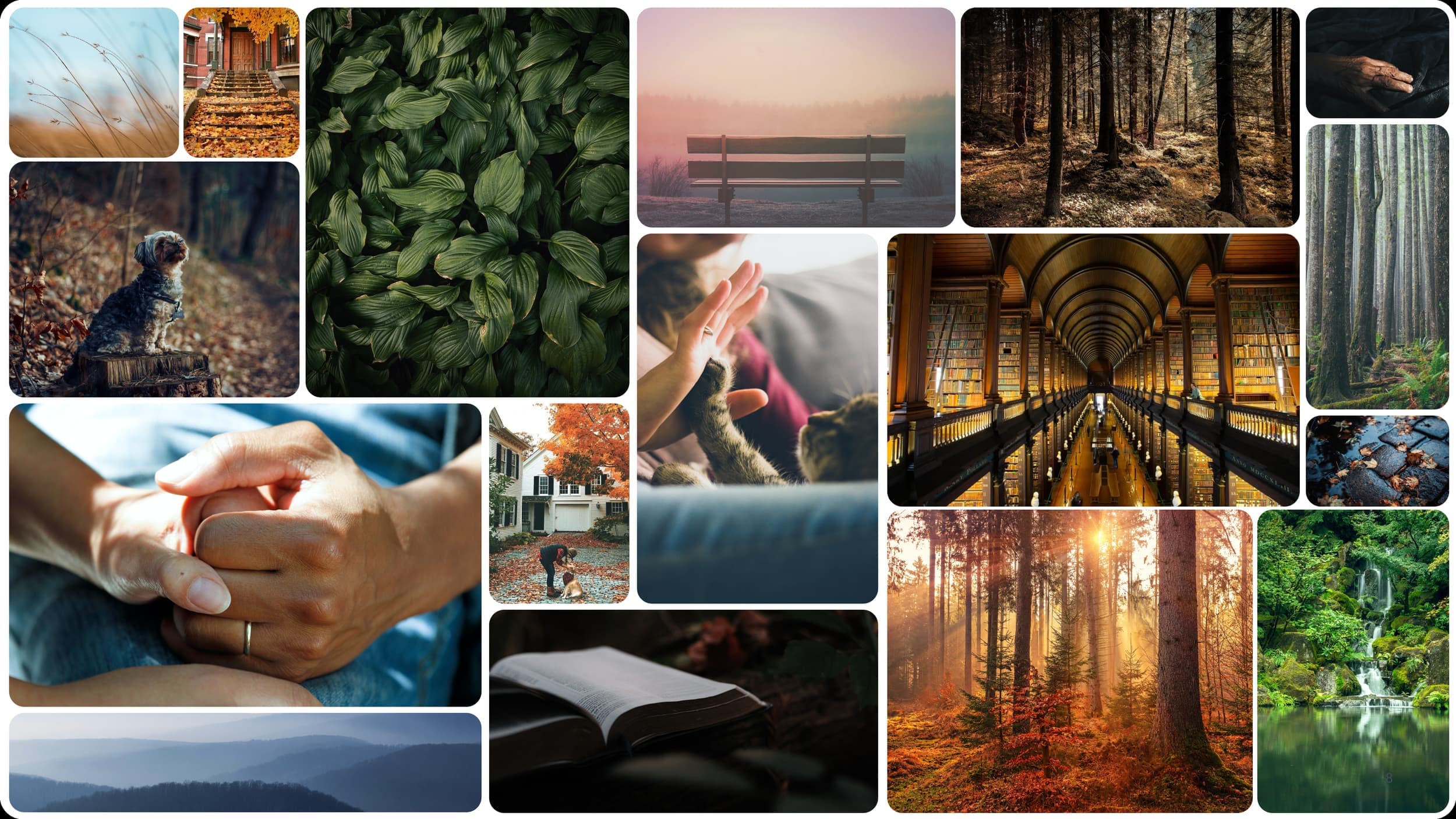 UX for Vet Burnout Relief